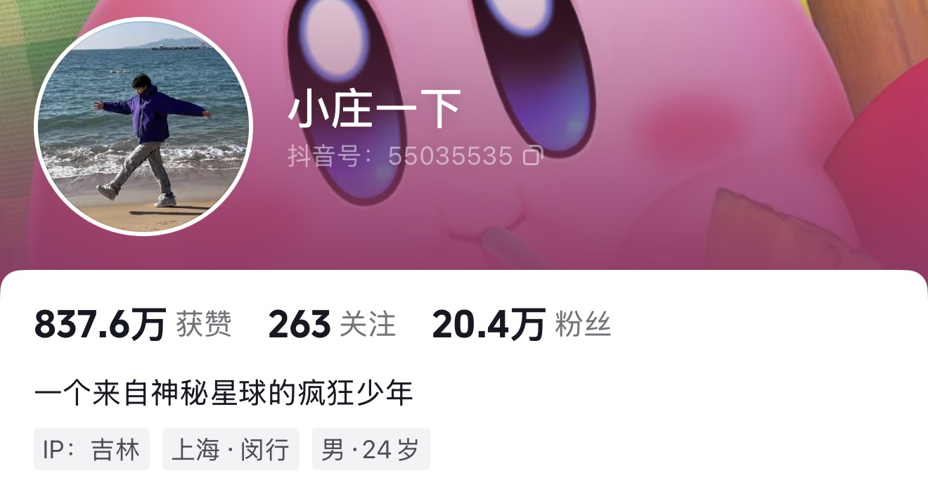 ZHUANG follower tier visual